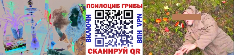 купить наркотик  Ессентукская  Псилоцибиновые грибы мухоморы 
